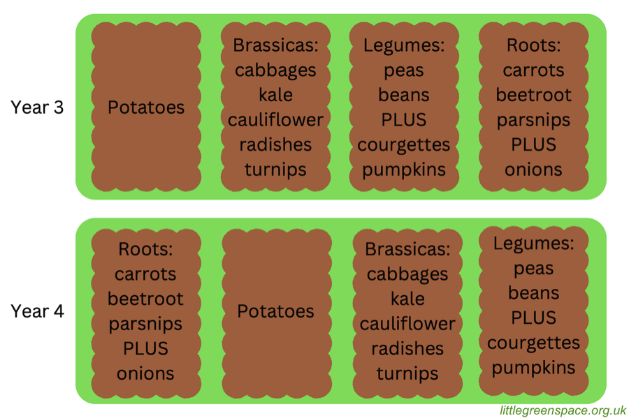 Crop rotation diagram 2